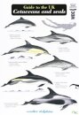 Guide to the UK Cetaceans and Seals