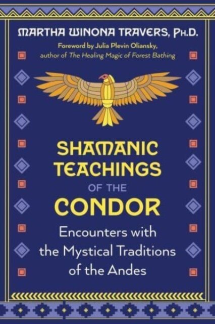 Shamanic Teachings of the Condor
