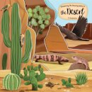 Discovering the Amazing World of the Desert