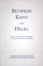 Between Kant and Hegel