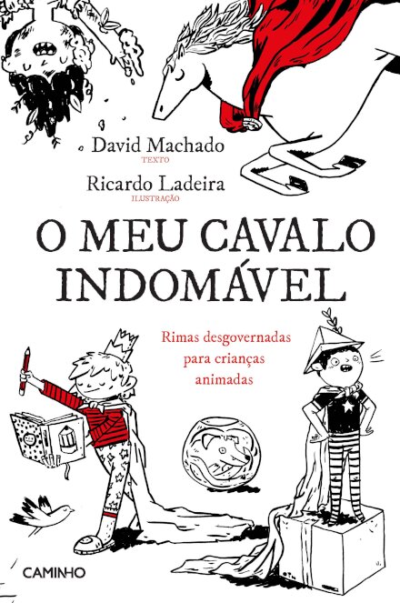 O Meu Cavalo Indomável