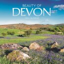 Beauty Of Devon Square Wall Square Wall