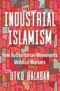 Industrial Islamism