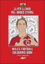 Llyfr Lliwio Pel-droed Cymru | Wales Football Colouring Book  NEW EDITION
