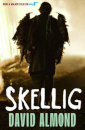 Skellig (Tv)