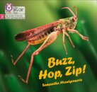Buzz, Hop, Zip!