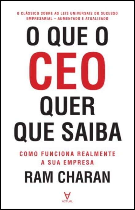 O que o CEO quer que saiba - Como funciona realmente a sua empresa