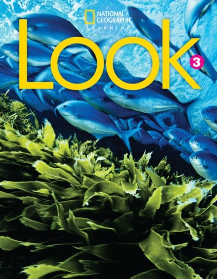 Look Level 3 Bre Workbook