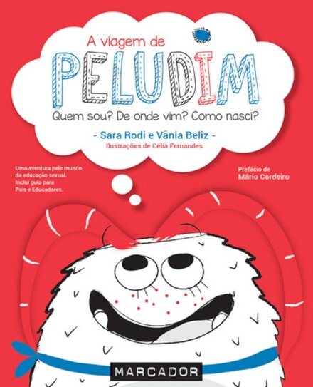 A Viagem De Peludim