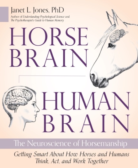 Horse Brain, Human Brain