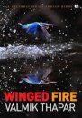 Winged Fire