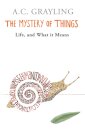 The Mystery of Things