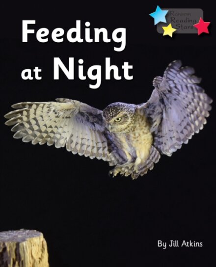 Feeding at Night