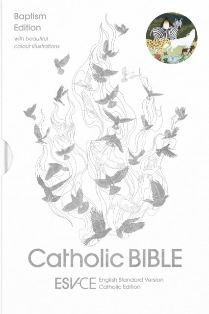ESV-CE Catholic Bible. The Official Catholic Liturgical Bible for England, Wales and Scotland from Advent 24