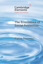 The Economics of Social Protection
