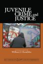 Juvenile Crime and Justice