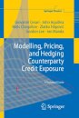 Modelling, Pricing, and Hedging Counterparty Credit Exposure