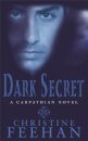 Dark Secret