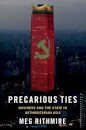 Precarious Ties