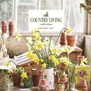 Country Living Wiro Wall
