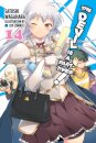 The Devil Is a Part-Timer!, Vol. 14 (light novel)