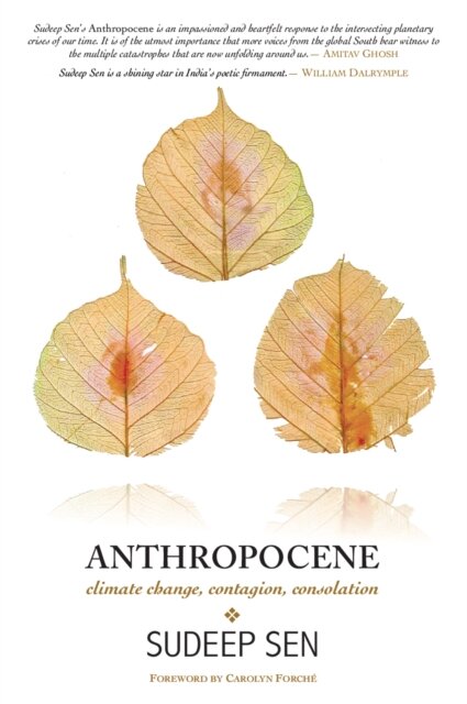 Anthropocene