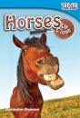 Horses Up Close