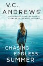 Chasing Endless Summer