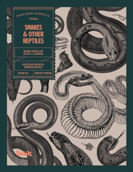 Snakes and Other Reptiles