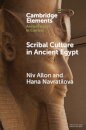 Scribal Culture in Ancient Egypt
