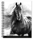Horse, The Noble, The BrownTrout Portrait Series 2026 Engagement Diary