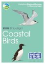 RSPB ID Spotlight - Coastal Birds