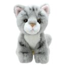 Cat (Grey) Soft Toy