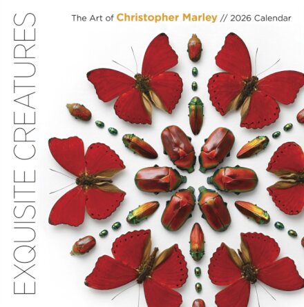 Exquisite Creatures: The Art of Christopher Marley 2026 Wall Calendar