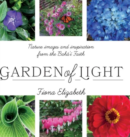 Garden of Light