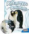 Antarctic Animals