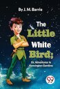 The Little White Bird