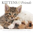 Kittens Friends Square Mini Sunday Start