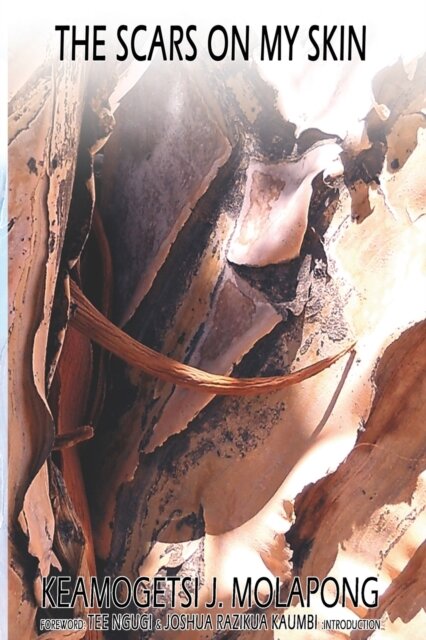 The Scars On My Skin