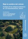 Bajo la sombra del volcan