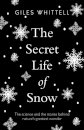 The Secret Life of Snow