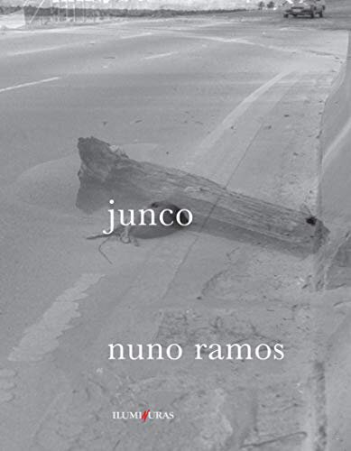 Junco