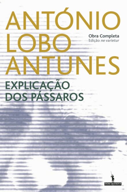 Explicação Dos Pássaros (NV)