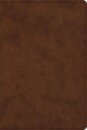 ESV Study Bible, Personal Size