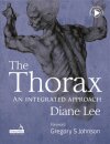 The Thorax