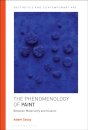The Phenomenology of Paint