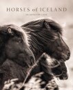 Horses of Iceland