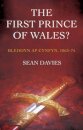 The First Prince of Wales?