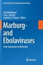 Marburg- and Ebolaviruses