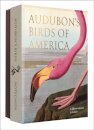 Audubon's Birds of America - Notecard Set
